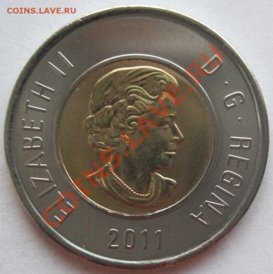 Канада 2 доллара Бореальные леса 2011, до 01.05, 20-00 - IMG_7911.JPG