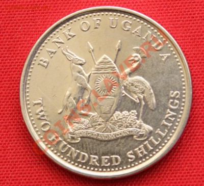 УГАНДА 200 шиллингов 2008г.РЫБИНА до 5.05.13г.в 22-00 - IMG_6208.JPG
