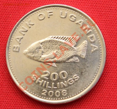 УГАНДА 200 шиллингов 2008г.РЫБИНА до 5.05.13г.в 22-00 - IMG_6207.JPG