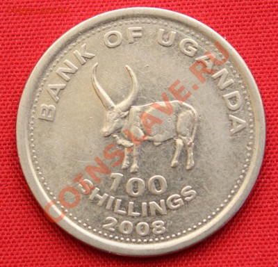 УГАНДА 100 шиллингов 2008г.БУЙВОЛ до 5.05.13г.в 22-00 - IMG_6205.JPG