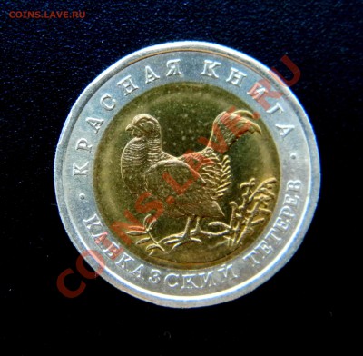 50 р *Красная Книга* - ТЕТЕРЕВ (лот № 2) - 3 мая 2013  22:30 - Изображение 009