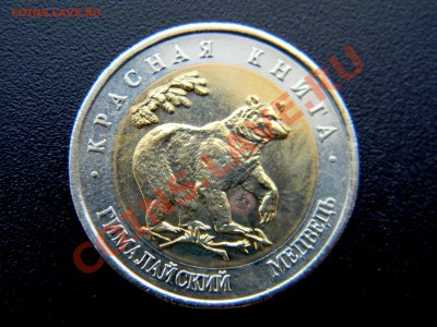 50 руб *Красная Книга* - МЕДВЕДЬ  до 3 мая 2013  22:30 МСК - Изображение 017