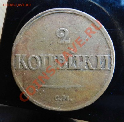 2 копейки - 1839 см   (крылья вниз  Желтая) до 03.05.13 - DSCN8465