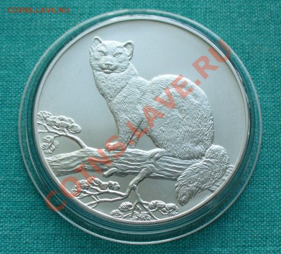 3 рубля "Соболь" UNC до 05.05.13г. 22-00 мск. - P1070744.JPG