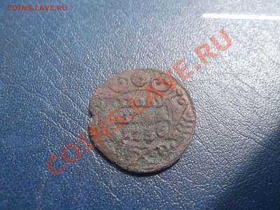 Копанина на опыты с 1р - DSCF0901.JPG