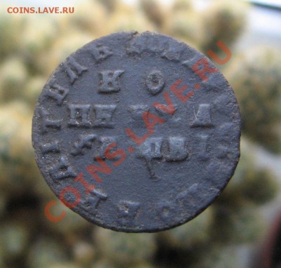 1 копейка 1707г(большой кружок) и 1712г.(на оценку) - IMG_4190.JPG