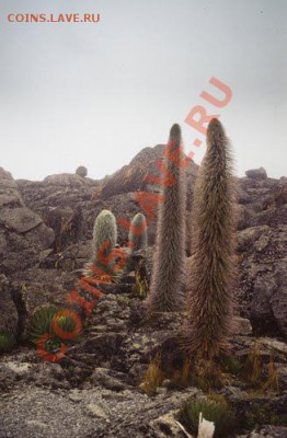 Монеты с ГОРАМИ (любых стран) - Mount_Kenya 1