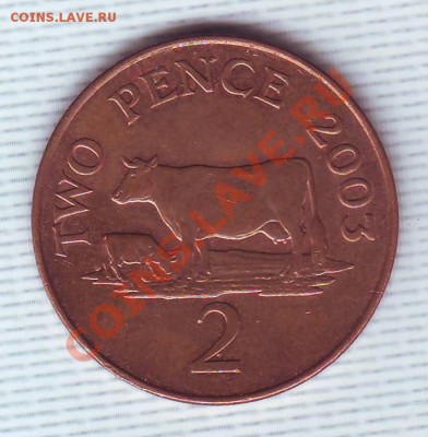 Гернси.2 Пенса.2003.Корова.до 7 Мая - корова0001.JPG