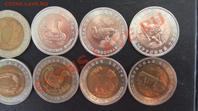 Красная Книга 91-92-93 оценка на "продать быстро" - DSCF2005.JPG