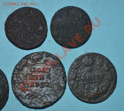 лот меди- 8 монет, 1731,1827,1769,1858,1771,1749,1842, - DSC_0015