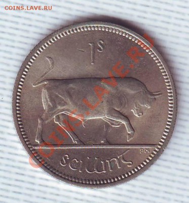 Ирландия.Шиллинг.1964.Бык.до 8 Мая - 20001.JPG