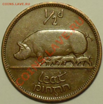 2 пенни 1953 - Хрюшка - до 8 мая - 729