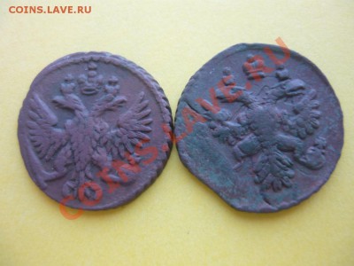 полушка 1749, 1737 - P1070367.JPG