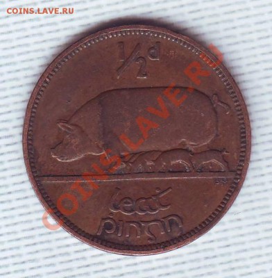 Ирландия.Пол Пенни.1928.Свинья. до 9 Мая - 19280005.JPG