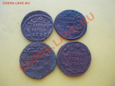 Полушки 4шт. 1737-1749. Короткий аук - P1070370.JPG
