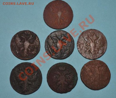 деньга 7 монет,1737,1738, 1746,1748,1749,1750,1751, - DSC_0006