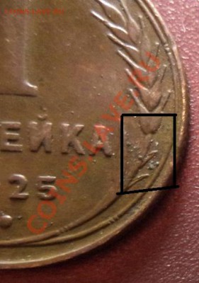 1 КОПЕЙКА 1925 прилист. с прорезями до 9.05.2013г.22:00 мск - DSC00275.JPG