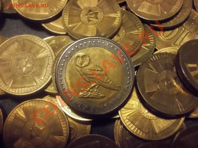 КОНКУРС !!! Мои монеты с фауной! - DSCN2799