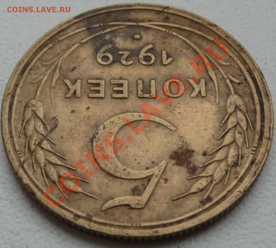 5 КОП.-1929,1937,1945,1951. до 11.04.13. 23:00 МСК - P1070353.JPG