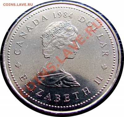 X76 Канада 1$ 1984 Jacques Cartier до 11.05 в 22°° - X76 1$ 1984 Jacques_2