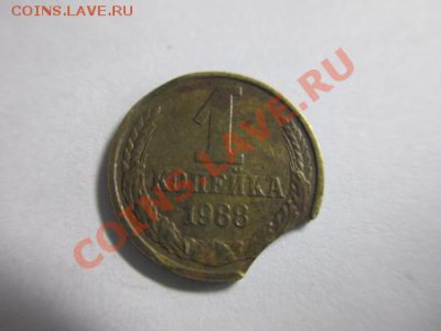 Выкус на оценку - IMG_0919