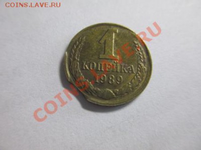Выкус на оценку - IMG_0918
