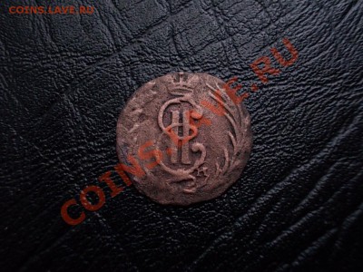 Сибирская Полушка 1771 до 8 мая. - DSCN2639.JPG