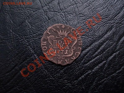 Сибирская Полушка 1771 до 8 мая. - DSCN2638.JPG