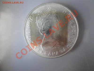 Канада: Ag-500 1$ 1985г Лось! до 7.05.13г 22.00мск - DSC04145.JPG