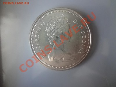 Канада Ag-500 1$ 1976г БИБЛИОТЕКА до 7.05.13г 22.00мск - DSC04147.JPG
