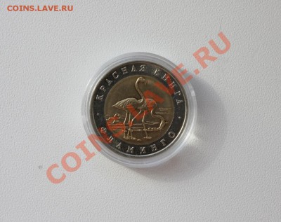 50руб. 1994 КК Фламинго - IMG_6237.JPG