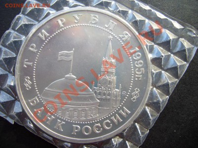 Будапешт в запайке - 12.05.13-22.00 Мск. - CIMG9953.JPG