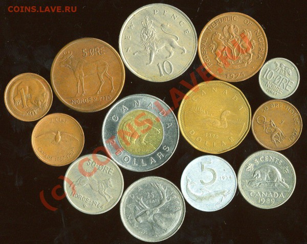МОНЕТЫ с ИЗОБРАЖЕНИЕМ ЖИВОТНЫХ. до 12.12.2009 - img1057