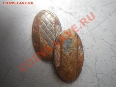 предположительно запанки. - DSCN2438.JPG