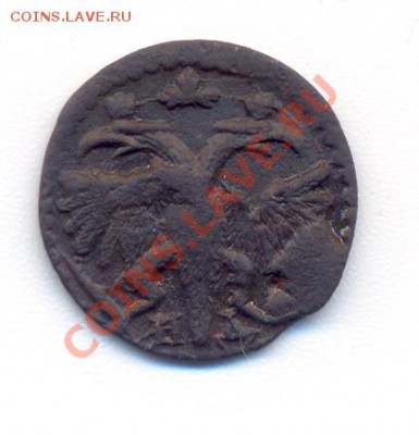 Полушка 1719 года - 1 001