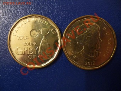 ДК Канада 1 доллар Кубок Грея ФИКС 12.05 - P1030585.JPG