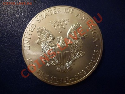 ДК США 1 доллар Свобода 2013 Серебро 13.05 - P1030554.JPG