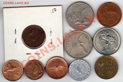 Подборка монет с птицами №8 (10шт.) 13.05.13 в 22.00мск - img547