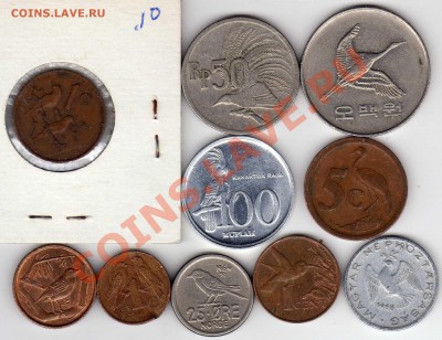 Подборка монет с птицами №9 (10шт.) 13.05.13 в 22.00мск - img550
