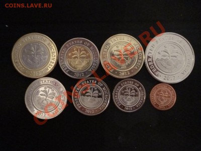ДК Микронезия набор животные 13.05 - P1030441.JPG