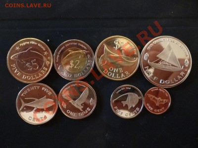 ДК Микронезия набор животные 13.05 - P1030439.JPG