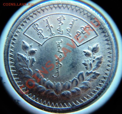Ag  монголия 1 тугрик 1925 г аАNC предпродажная оценка - DSC06912.JPG