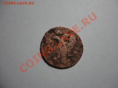 Денга 17??, необычный хвост у льва, нигде не встречается - DSC04112.JPG