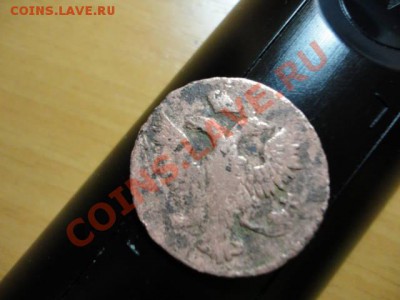 Денга 17??, необычный хвост у льва, нигде не встречается - DSC04118.JPG