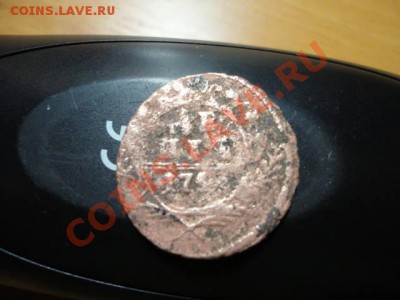 Денга 17??, необычный хвост у льва, нигде не встречается - DSC04120.JPG