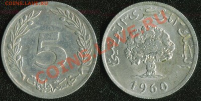Тунис 5 миллим 1960 до 22:00мск 13.05.13 - Тунис 5 миллим 1960