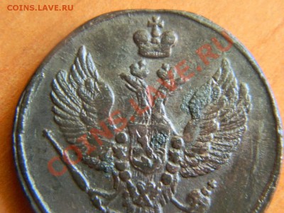 2 копейки 1811 Тетерев до 10.05. - DSCN4446.JPG