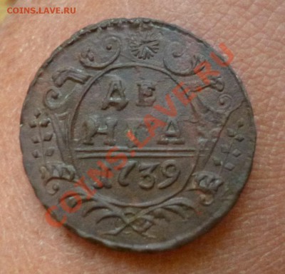 деньга 1739 и копейка 1828 - P1000890.JPG