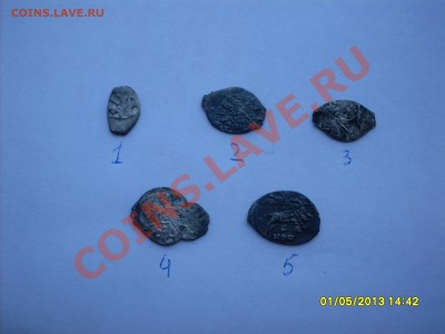 Чешуя - SDC11524.JPG