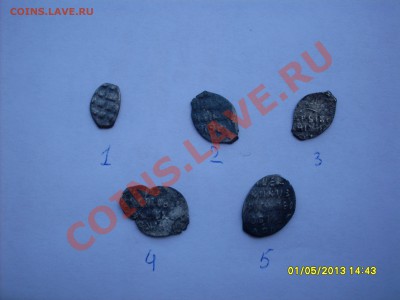 Чешуя - SDC11525.JPG